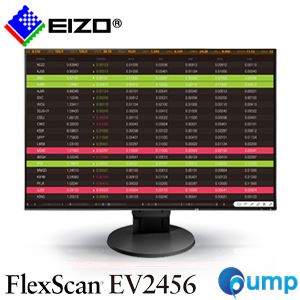 EIZO FlexScan EV2456 Workstation Eyecare IPS LED Monitor - Black