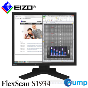 EIZO FlexScan S1934-H Eyecare LCD Pane IPS Monitor - Black