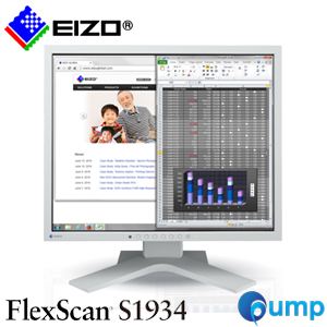 EIZO FlexScan S1934-H Eyecare LCD Pane IPS Monitor - Gray