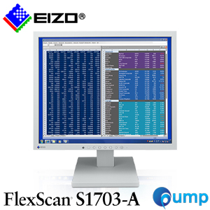 EIZO FlexScan S1703-A Square Eyecare Monitor - Grey
