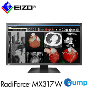 Eizo RadiForce MX317W 30.5 Color LCD Monitor
