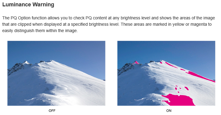 EIZO ColorEdge CG2400S 15