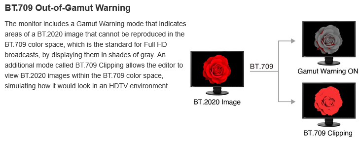 EIZO ColorEdge CG2400S 16